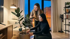 Rubber plant care made simple: how to water Ficus elastica the right way