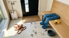 What your dog really feels when you yell and what to do instead